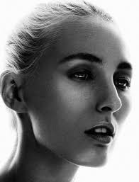 alien bee — Thomas Ingersoll Phoenix Commercial Photographer