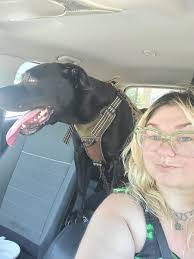 Chalmers advertising and Dare Devil stunts discussion