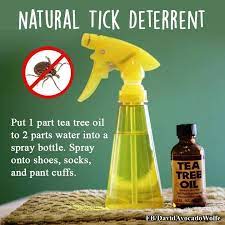 David Wolfe Natural Tick Deterrent Homemade Tick Repellent Tick Repellent Essential Oils Natural Remedies