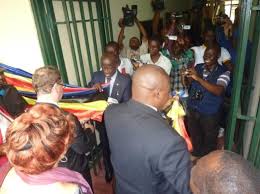 Image result for Congolanthus longidens