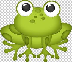 There are three types of amphibians: Frog Drawing Png Clipart Amphibian Animals Child Computer Icons Cute Frog Free Png Download