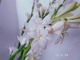 Pin Di Aesthetic Photography