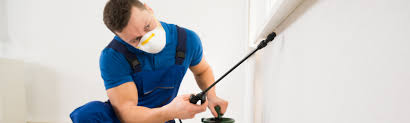 Pest Solutions For Raleigh Durham Apex And The Triangle Capital Pest Services Inc