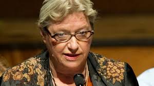 Queenstown site hits the market