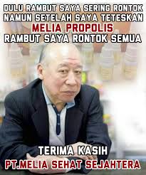 Krn sya baru 3 hari bergabung sudah dibayar 500rb,dan sya bertanggung jwb thd downline sya,dlm 2 hri stlh bergabung dy sudh mendapatkan 700 rb dihari ketiga,jika anda memang ingin bergabung,pertama sekali liat laah org yang mengajak anda,apakah dia memiliki kapasitas sbgai seorng leader,bgaimana kita nanti menjadi seorang leader,sementara org yang. Foto Meme Mlm Melia Kolektor Lucu