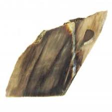 Black lion material bag (discontinued). Petrified Wood For Sale Fossilicious