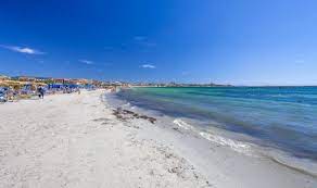 Ecco da dove nasce e come preparla scegliendo con cura piante ed erbe officinali. Lido Di San Giovanni Sardegnaturismo Sito Ufficiale Del Turismo Della Regione Sardegna