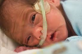 Omaha: Con ra đời sau khi mẹ sống thực vật 54 ngày