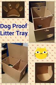 The main reason for this is that cat food has a high protein content, and cats don't always digest all of the protein. Dog Safe Litter Box Sirpizzaky Com