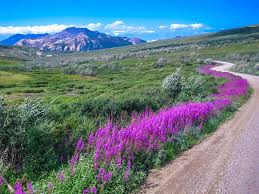 And national parks are the best place to practice that new pastime. 30 Best National Parks In The Usa To Visit This Summer