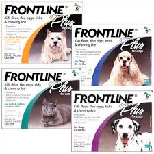 Frontline Plus Dosage For Cats And Dogs All About Foto