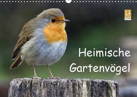 Kalender Heimische Gartenvogel Heimische Gartenvogel Vogel Im Garten Garten