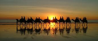 You can only get down from a goose. Broome Camel Safaris Sunset Camel Rides Cable Beach