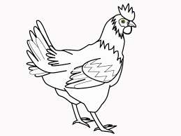 Dan anda bisa memilih gambar lainnya, silahkan di lihat di gallery for gambar mewarnai ayam lucu dibawah. Contoh Mewarnai Gambar Ayam Mewarnai Cerita Terbaru Lucu Sedih Humor Kocak Romantis