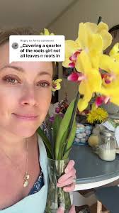 Essential Orchid Care Tips for Beginners