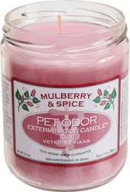 You know those febreze commercials where blindfolded volunteers sit on a couch and describe the lovely, fresh scents they smell? 80 Pet Products Candles Ideas Odor Eliminating Candles Pet Odors Candles