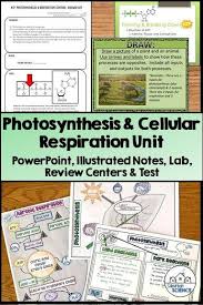 Are You Teaching Basic Cellular Processes Like Photosynthesis Respiration Need A Photosynthesis And Cellular Respiration Photosynthesis Cellular Respiration