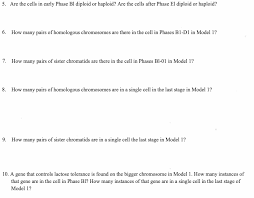 This online statement mendelian genetics worksheet answers can be one of. Solved Meiosis How Does Sexual Reproduction Lead To Gene Chegg Com