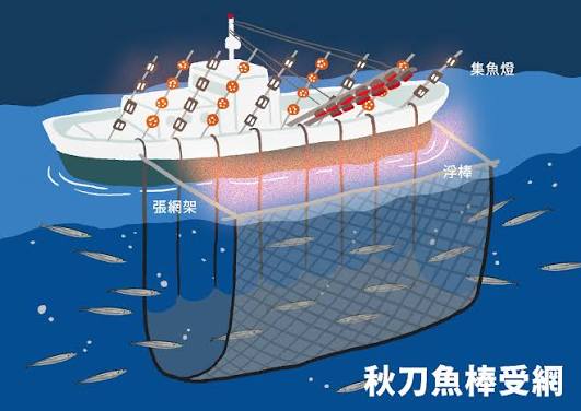 溪和水產_秋刀魚