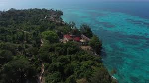 Flights from us$ 299 return. Zanzibar Prison Island Stock Video Footage 4k And Hd Video Clips Shutterstock