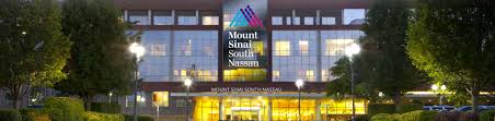 Mount Sinai Health System New York City Mount Sinai