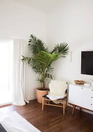 Indoor Plants Home Decor Ideas Planters Hanging Plants Clean Air Plants Minimalist Planters Home Decor Inspiration Home Decor Interior