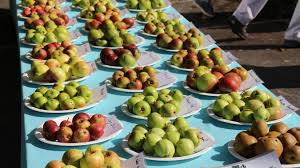 19h30 repas, confectionné avec des produits locaux. Les Cinq Bonnes Raisons D Aller A La Fete De La Pomme A Mazinghem