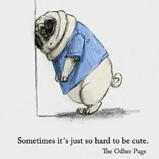 See more ideas about animal drawings, cute drawings, cute animal drawings. Easy Drawing Cute Drawings Of Dogs Hard
