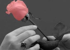 Image result for ‫برای ابراز علاقه به همسر در مکانهای عمومی دست هم را بگیرید‬‎