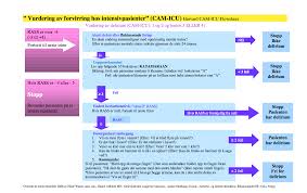 Image result for CAM-ICU