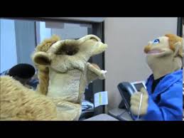 Cbs news' michelle miller recently sat down with the team at the martin agency that created the ad focused around a pretty and i think i said camel, and then it just kind of went from there. Geico Commercial Hump Day Sml Youtube
