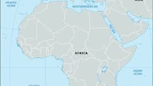 Image result for Sorindeia rhodesica