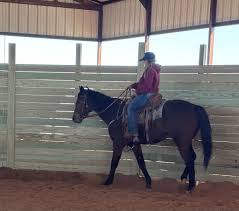 👏🐴Who's Who at Nexus Equine🐴👏 Rita Hoch is Founder, President and CEO  of Nexus Equine. Horses have always been the love of her life. She got her  first horse when she was