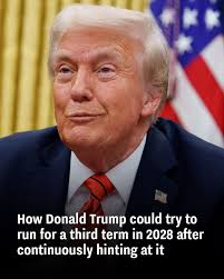 He told his colleagues that they might...