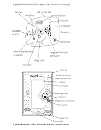 2 hours instructions  this paper has 14 jason likes to play the game yugioh. Biology Notes Form 1 Pdf Biology Form 1 Questions And Answers Pdf