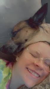 Do Australian Shepherds tend to be clingy and desire close proximity to  their owners?