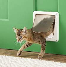 Cat Doors The Five Best For