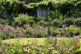 For perennials and grasses, plant in groups of three to 12 plants, depending on the importance of the plant and how distinctive it is; 27 Cottage Garden Ideas Inspiration For Plants And Layouts Country