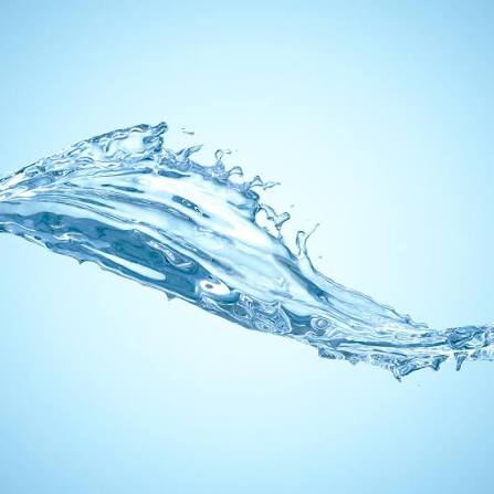 The Future of Water