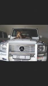 G Class Bodyguard Dream Cars Luxury Cars Mercedes