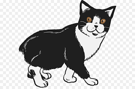 Siyam Kedisi Dagda Kedi Bengal Kedi Amerikan Agirlikli Avrupa Form Vektor Elle Cizilmis Siyah Ve Beyaz Kedi Seffaf Png Goruntusu