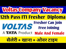 Bank of abyssinia vacancy announcement.through this article, candidates can easily find complete information through this post, we are updating the ibps po notification 2020, ibps so notification 2020. Jaya Tv Job Vacancy Jobs Ecityworks