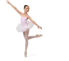 Repetto Tutu Court Couleur Rose Tendresse