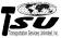 Transportation Services Unlimited Inc logo