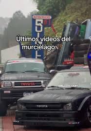 Últimos videos del murciélago 🦇