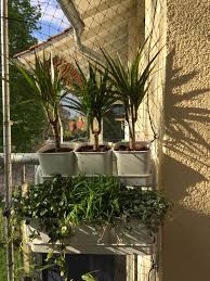 Socker Ikea Blumentopf Mit Halter Drinnen Draussen Weiss 10 5 Cm Flowerpot Plantpot Ikea 2017 Potted Plants Ikea Flower Pots