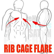 Flared Rib Cage When The Lower Ribs Protrude Forward And Stick Out This Is A Sign That The Core Musculature Thoracic Spine Mobility Rib Cage Muscle Imbalance