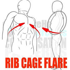 Stretching out the muscles of the chest and the rib. Flared Rib Cage When The Lower Ribs Protrude Forward And Stick Out This Is A Sign That The Core Musculature Thoracic Spine Mobility Rib Cage Muscle Imbalance