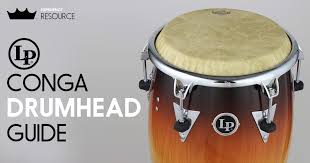 lp conga drumhead guide