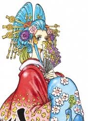 No one, not even her fellow courtesans, knows why. Kouzuki Hiyori Opwiki Das Wiki Fur One Piece